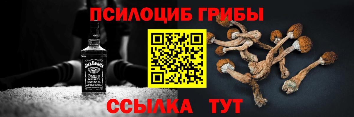 Псилоцибиновые грибы Psilocybe Первоуральск